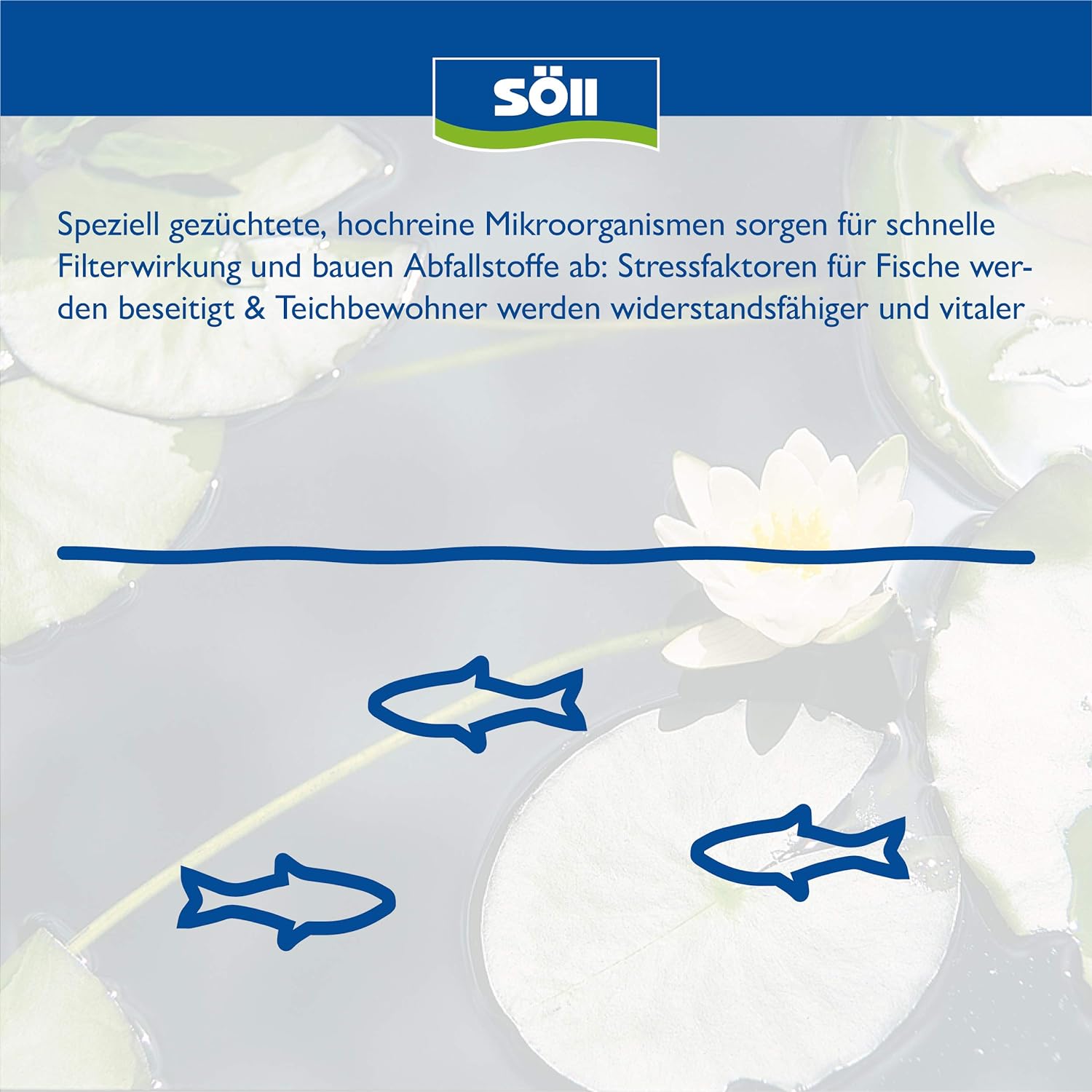 Söll FilterstarterBakterien 250 g für  37,5 m²